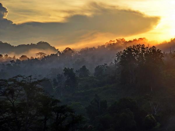 Borneo small group adventure holiday