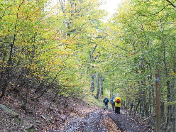 Best of the Camino walking vacation