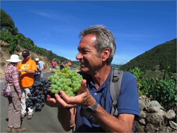 Best of the Camino walking vacation