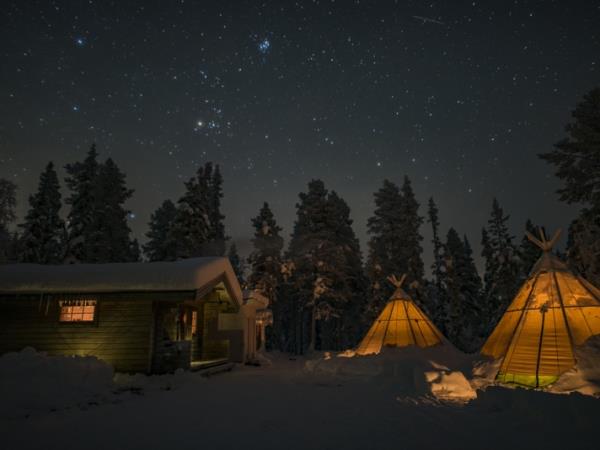 Northern Lights and wildlife vacation in Swedish Lapland