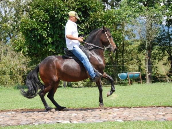 Colombia horse riding vacation