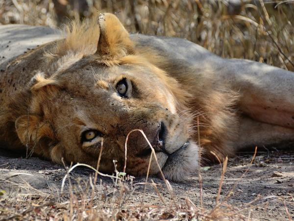 South Africa luxury vacation