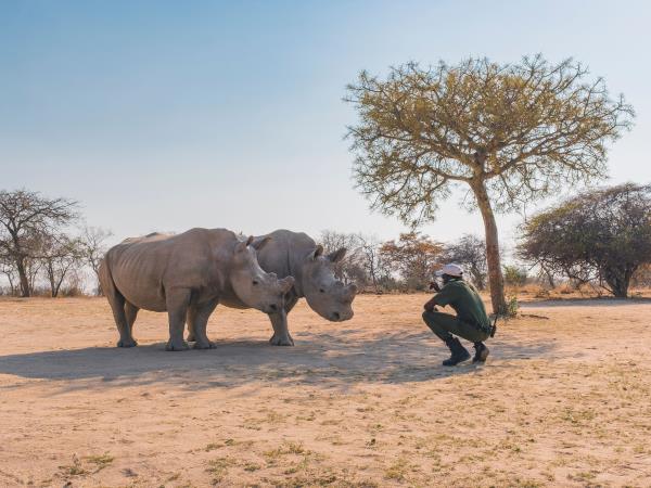 Luxury safari in Botswana and South Africa