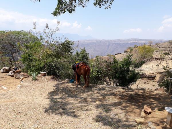 Colombia horse riding vacation