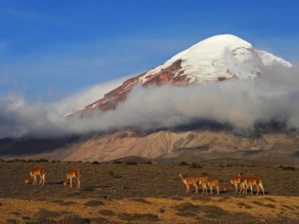Ecuador adventure & culture vacation