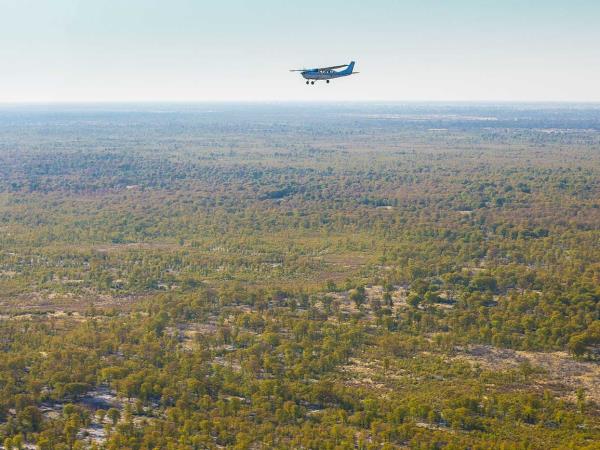 Botswana wildlife vacation for families