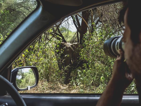 Botswana wildlife vacation for families