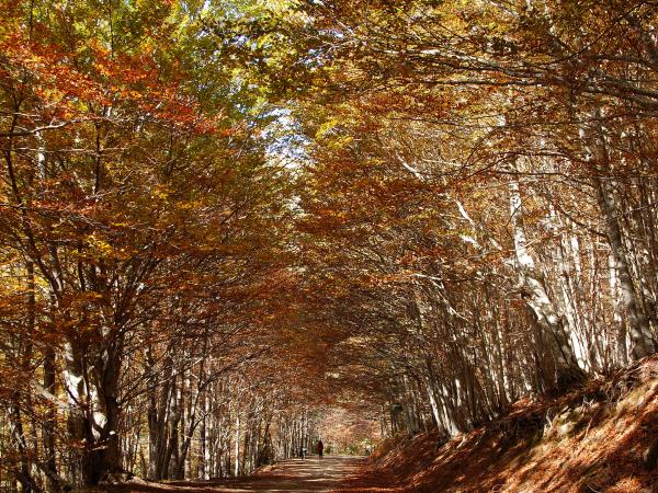 Photography vacations in the Spanish Pyrenees