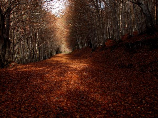 Photography vacations in the Spanish Pyrenees