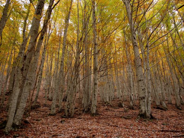 Photography vacations in the Spanish Pyrenees