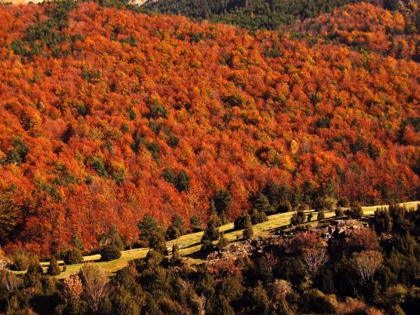Photography vacations in the Spanish Pyrenees