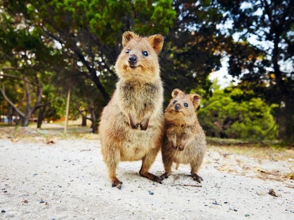 Tasmania & Western Australia walking holiday