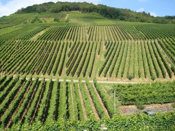 Umbria to Tuscany walking and cooking vacation