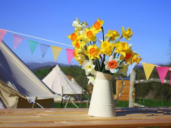 North Wales multi activity vacation
