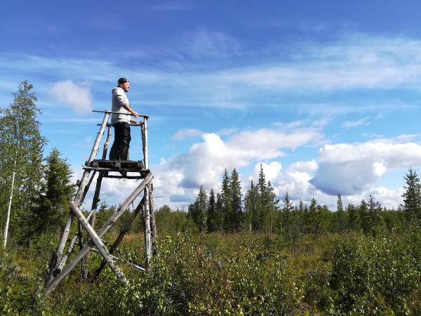 Summer hvacation in Finnish Lapland