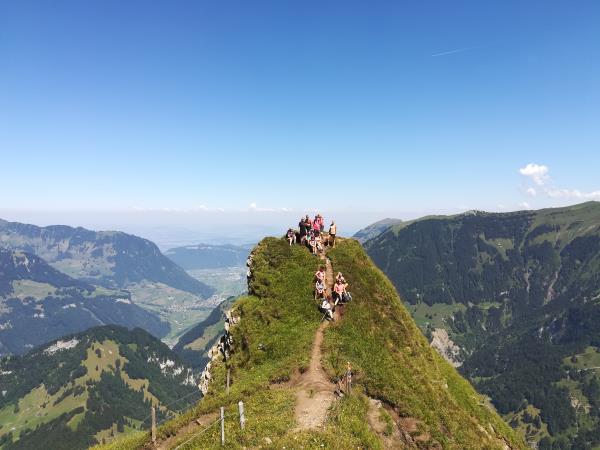 Swiss Alps vacation