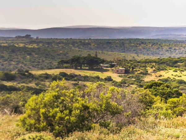 Wildlife conservation in South Africa