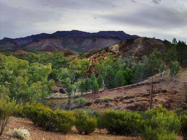 Flinders Ranges self guided walking vacation, Australia