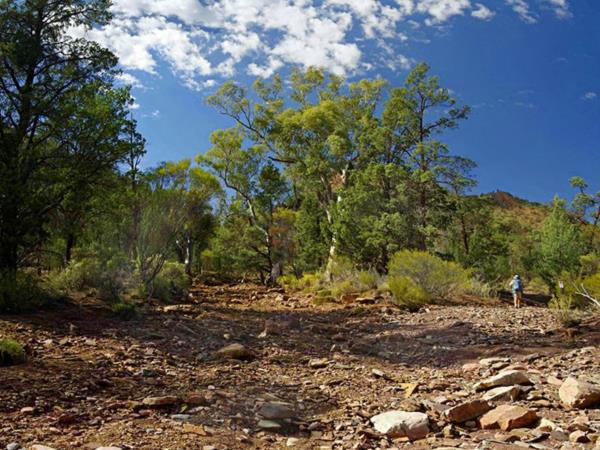 Flinders Ranges self guided walking vacation, Australia