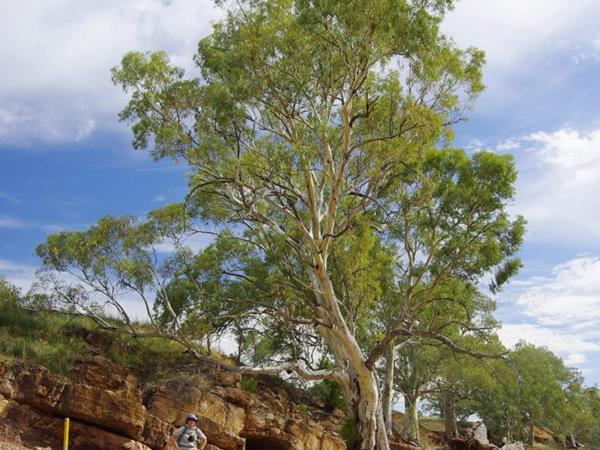Flinders Ranges self guided walking vacation, Australia