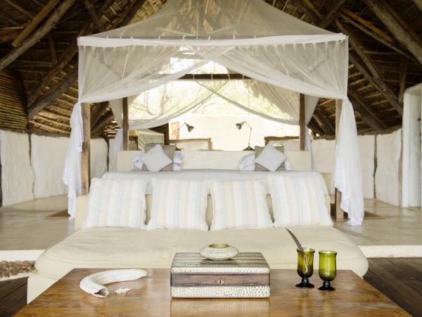 Southern Tanzania luxury safari vacation