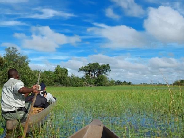Botswana luxury honeymoon safari