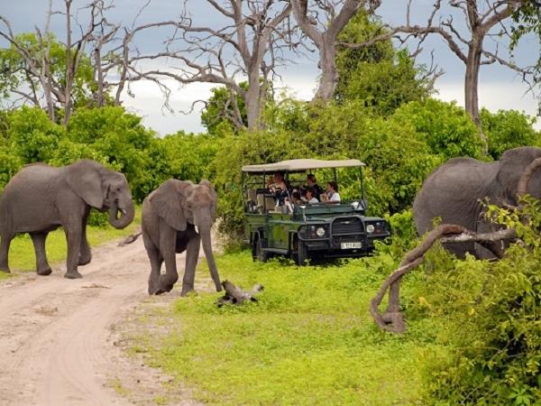 Botswana luxury honeymoon safari
