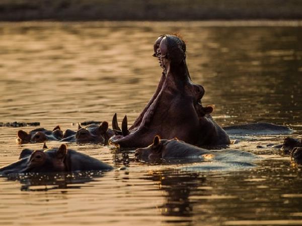 Botswana off beaten track holiday