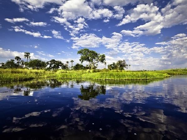 Botswana safari & Vic Falls holiday