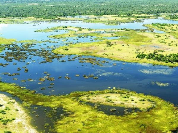 Botswana luxury safari vacation
