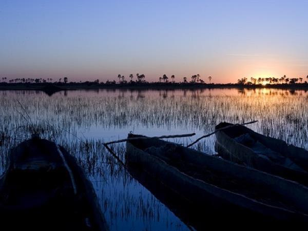 Botswana luxury safari vacation