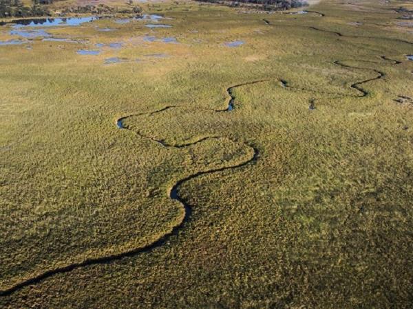 Botswana luxury safari vacation