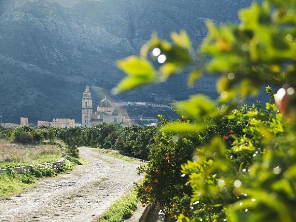 Self guided cycling vacation in Valencia, Spain