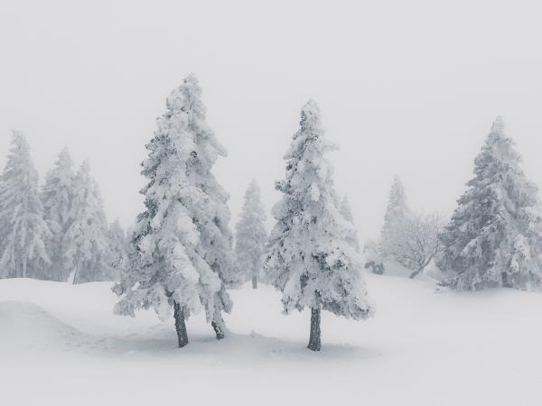 Slovenia winter photography vacation