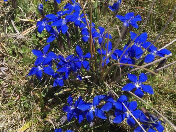 Alpujarra wildlife walking vacation