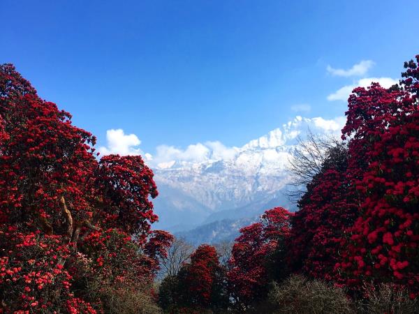 Nepal trekking holiday, health & happiness