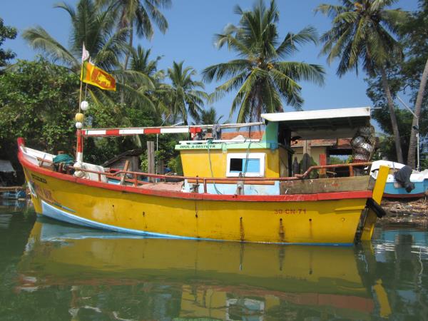Sri Lanka on a shoestring
