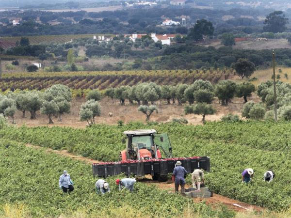 Alentejo walking vacation in Portugal