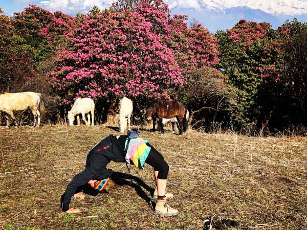 Nepal trekking and yoga vacation