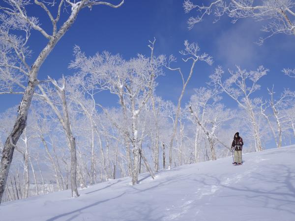 Hokkaido winter vacation in Japan, self guided