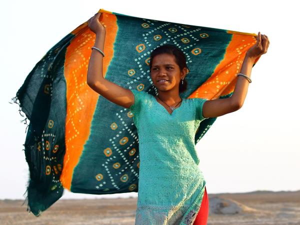 Gujarat cultural tour, textiles & wildlife