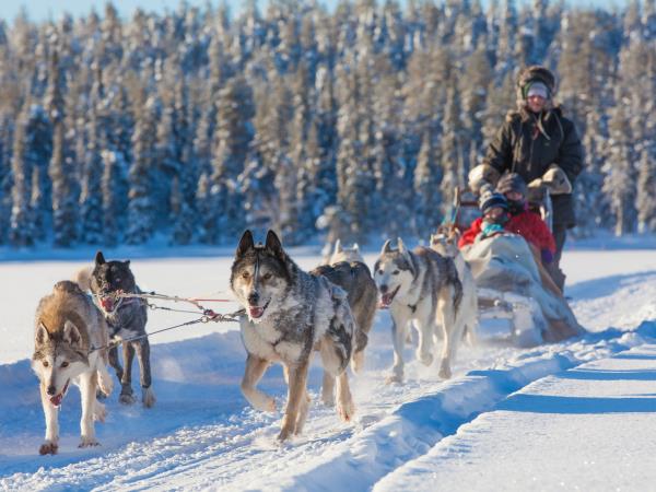 Winter adventure in Finland