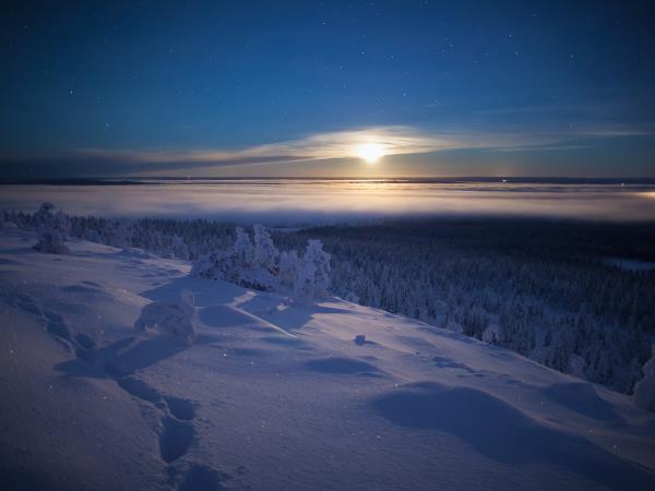 Winter adventure in Finland