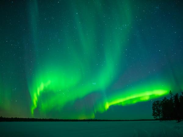 Winter adventure in Finland