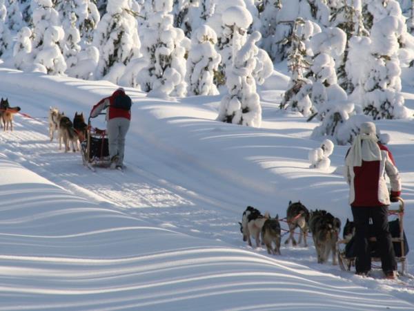 Lapland husky safari and activity holiday, Finland