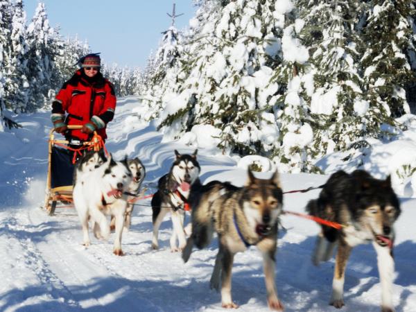 Lapland husky safari and activity holiday, Finland