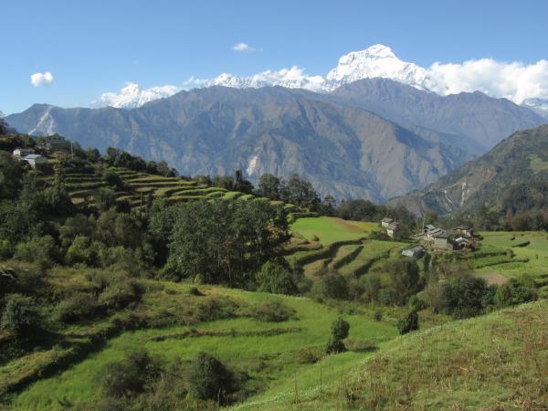 Dhaulagiri Circuit trek, 19 days