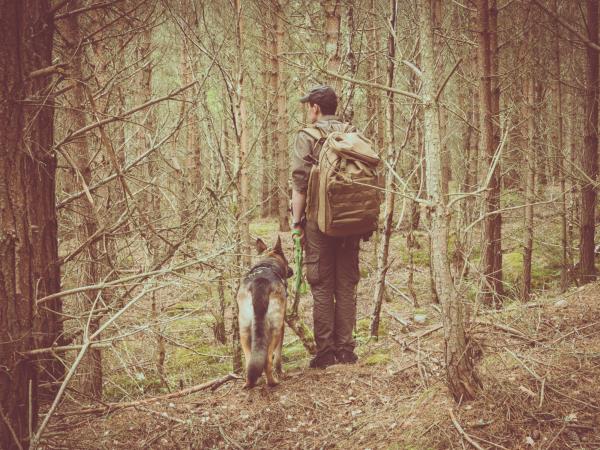 The Cairngorms wildlife holiday in Scotland