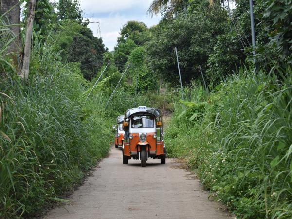 Chiang Mai Tuk Tuk adventure, 3 days