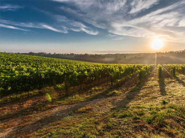 E-Bike vacation in Umbria and Tuscany